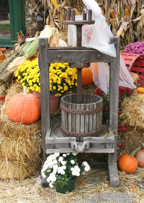 A festive fall scene with pumpkins and an apple press