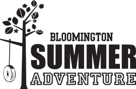 Black Summer Adventure Playgrounds logo with tree and tire swing illustration