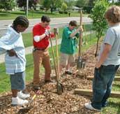 Kid volunteers planting trees in a park