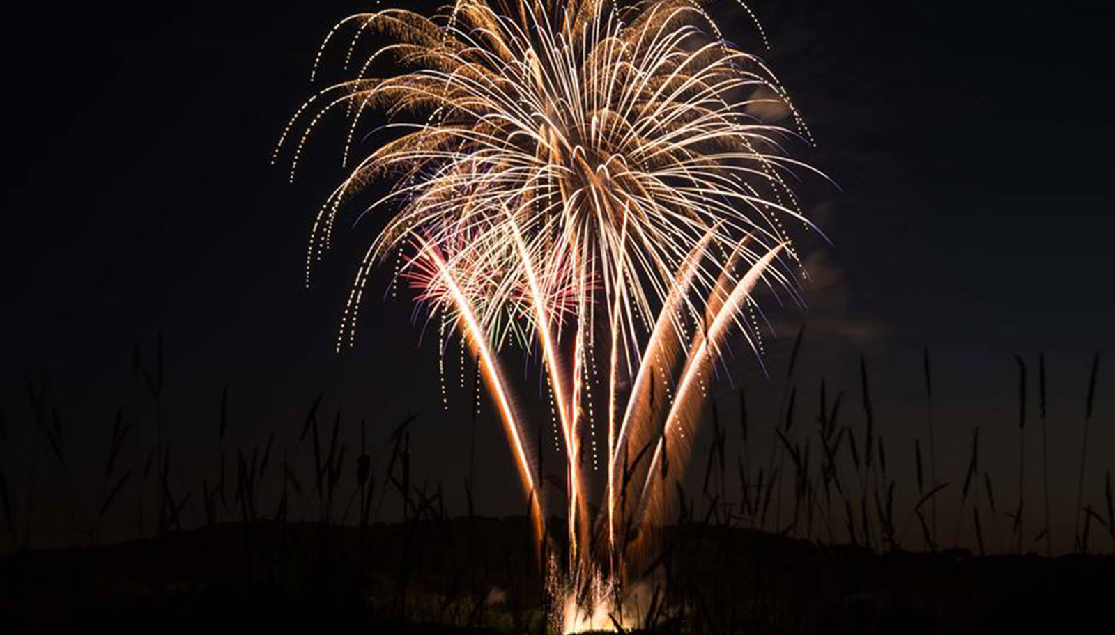 A firework in midair. 