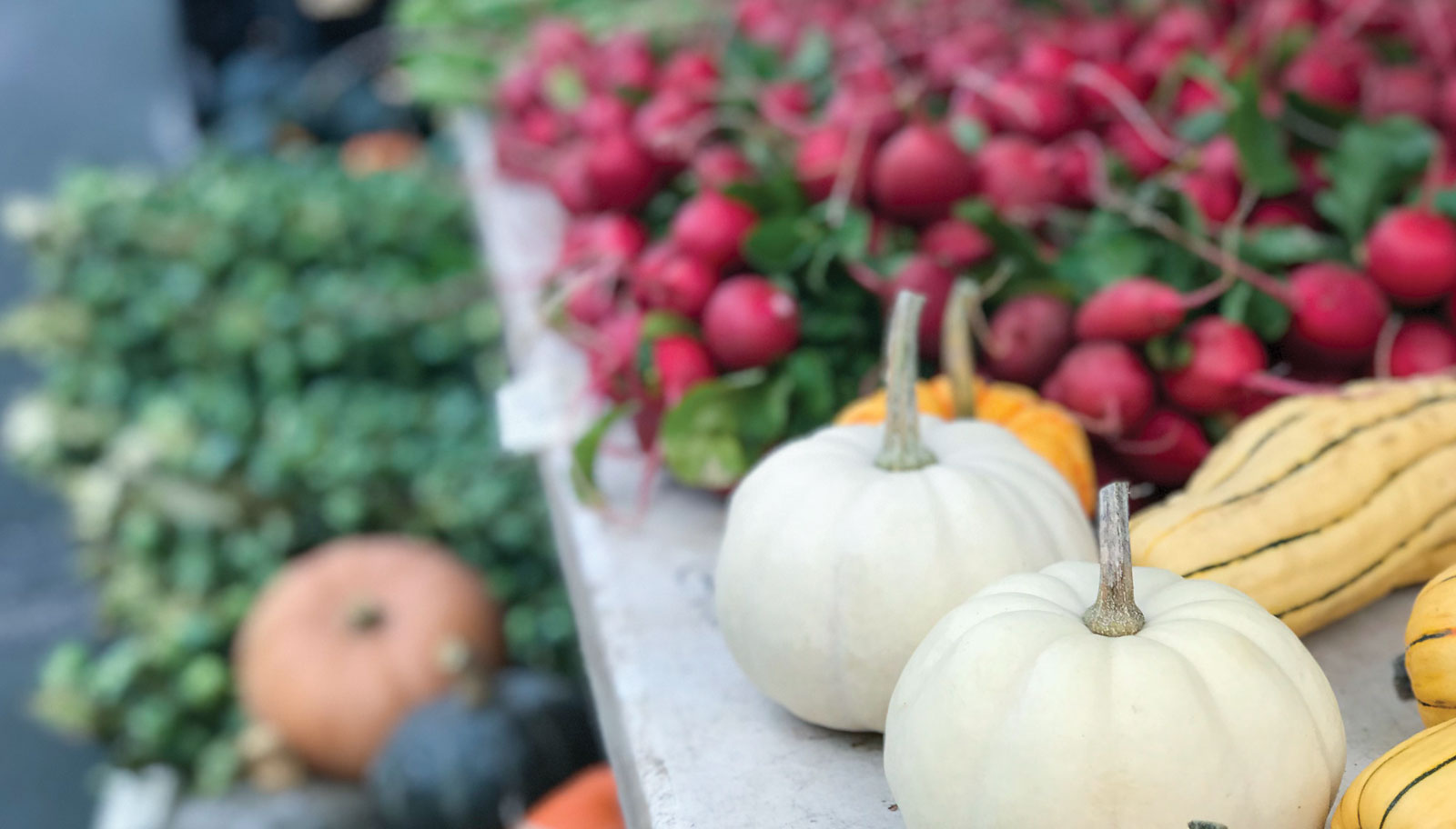 Farmers Market