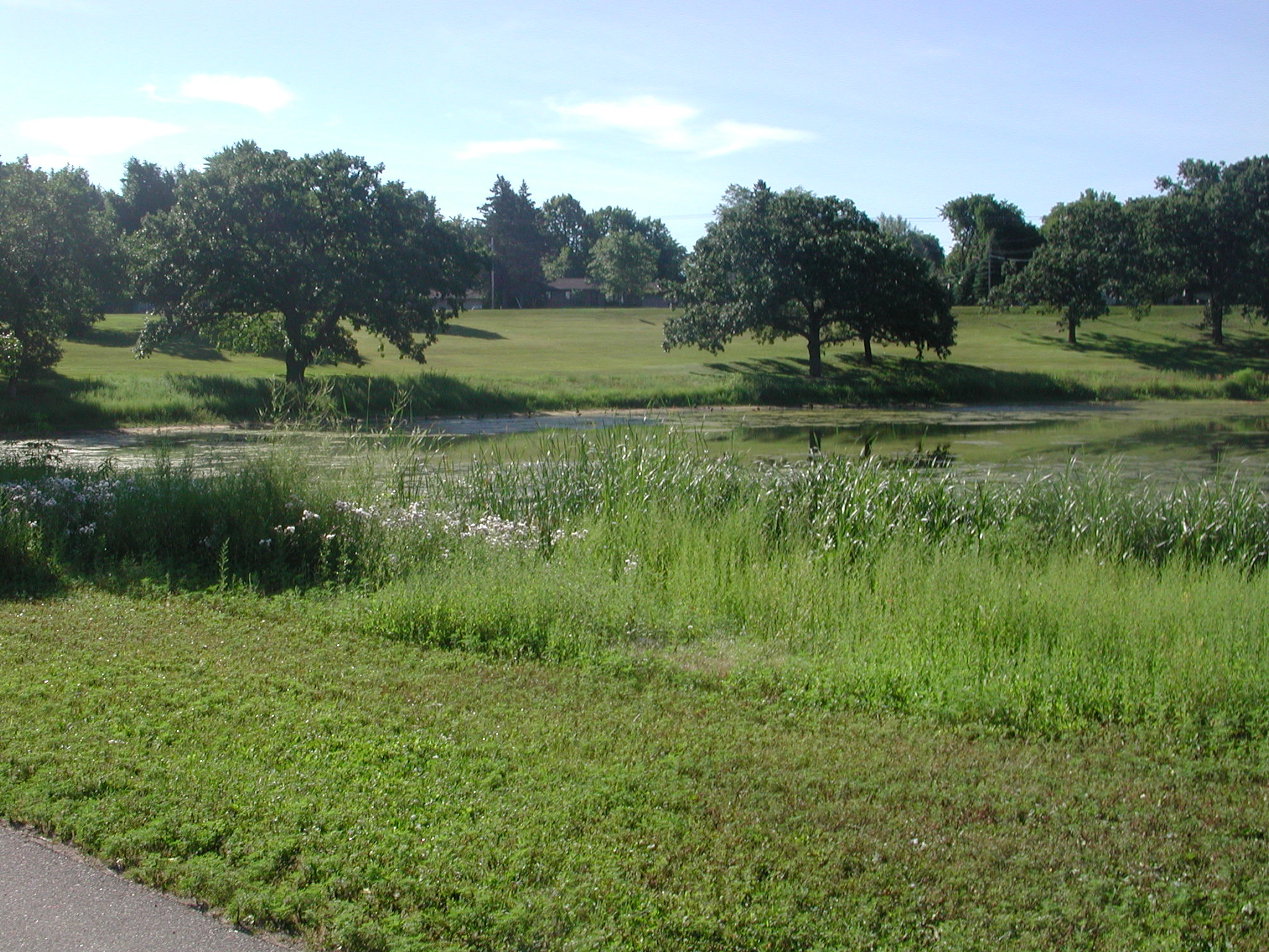 Running Park Pond