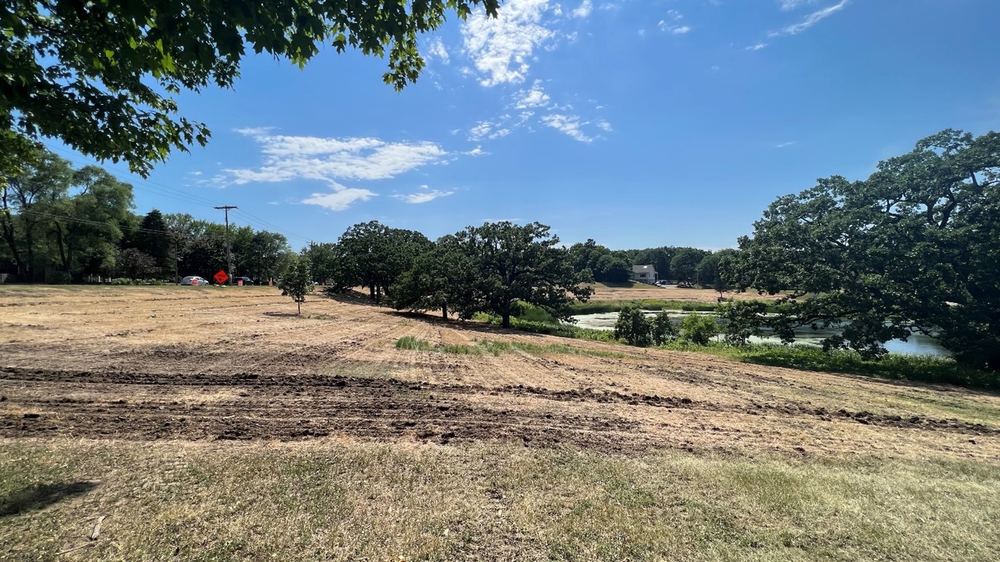 Running Park Post Planting June 2022