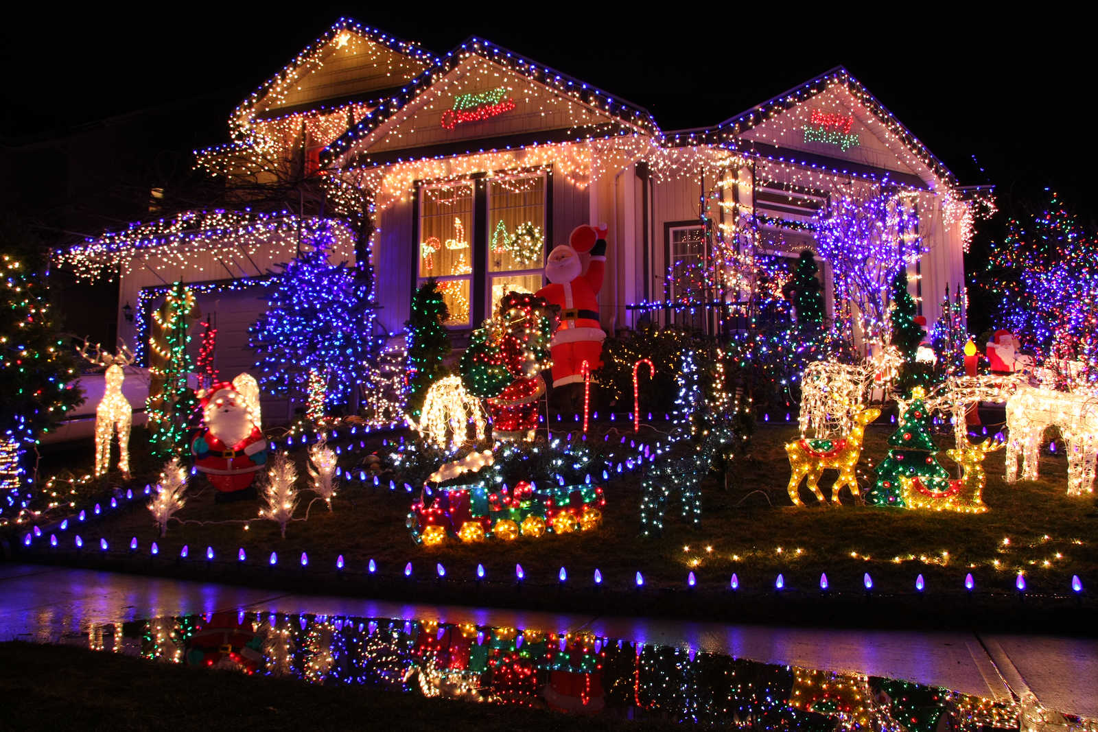 Holiday Lights