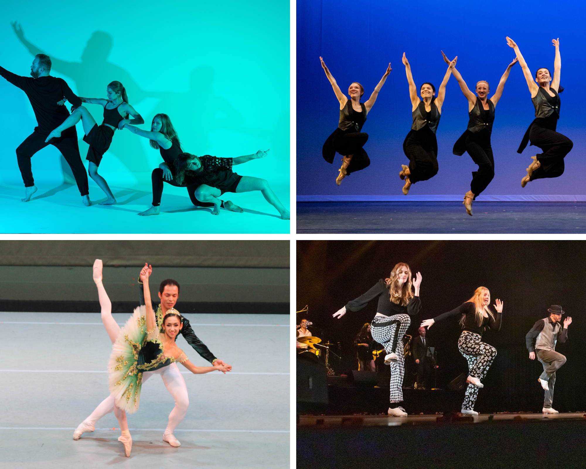 Discover Dance Series 2023 Quad Box