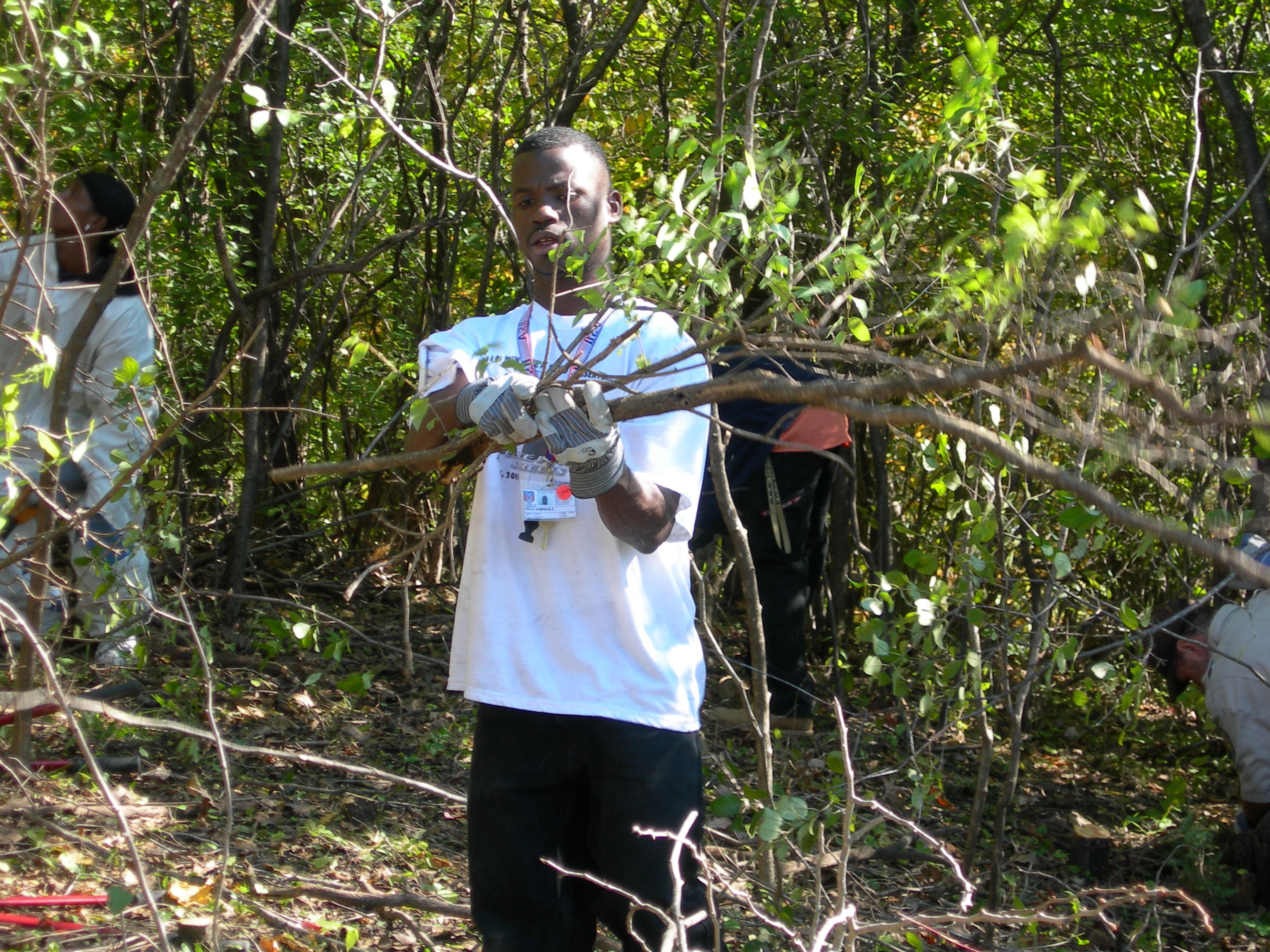 Buckthorn Bust Volunteer