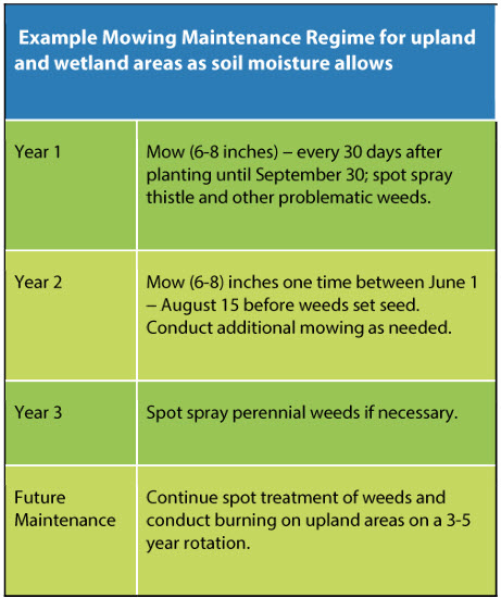 Mowing schedule for new prairie plantings from MN BWSR