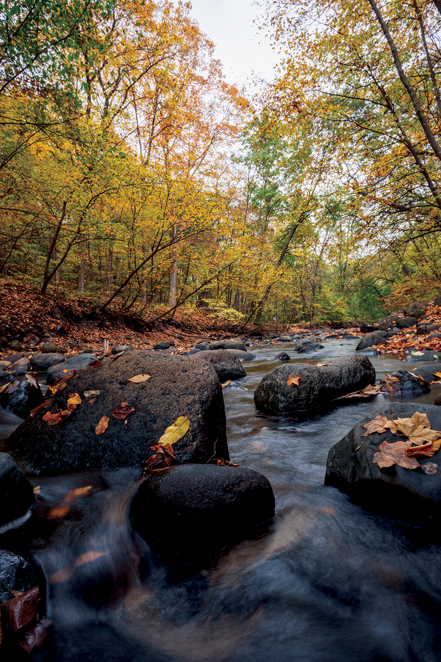 Nile Mile Creek