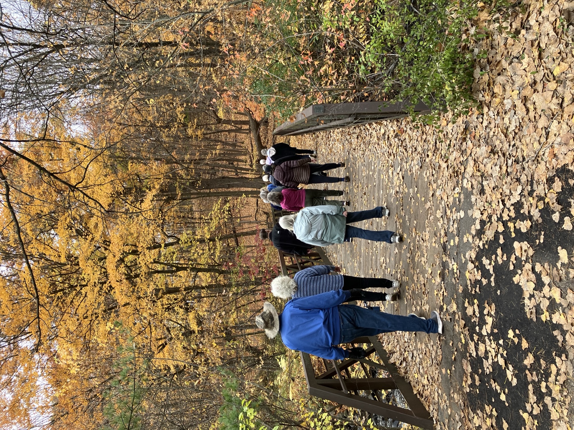 Walking Club Fall