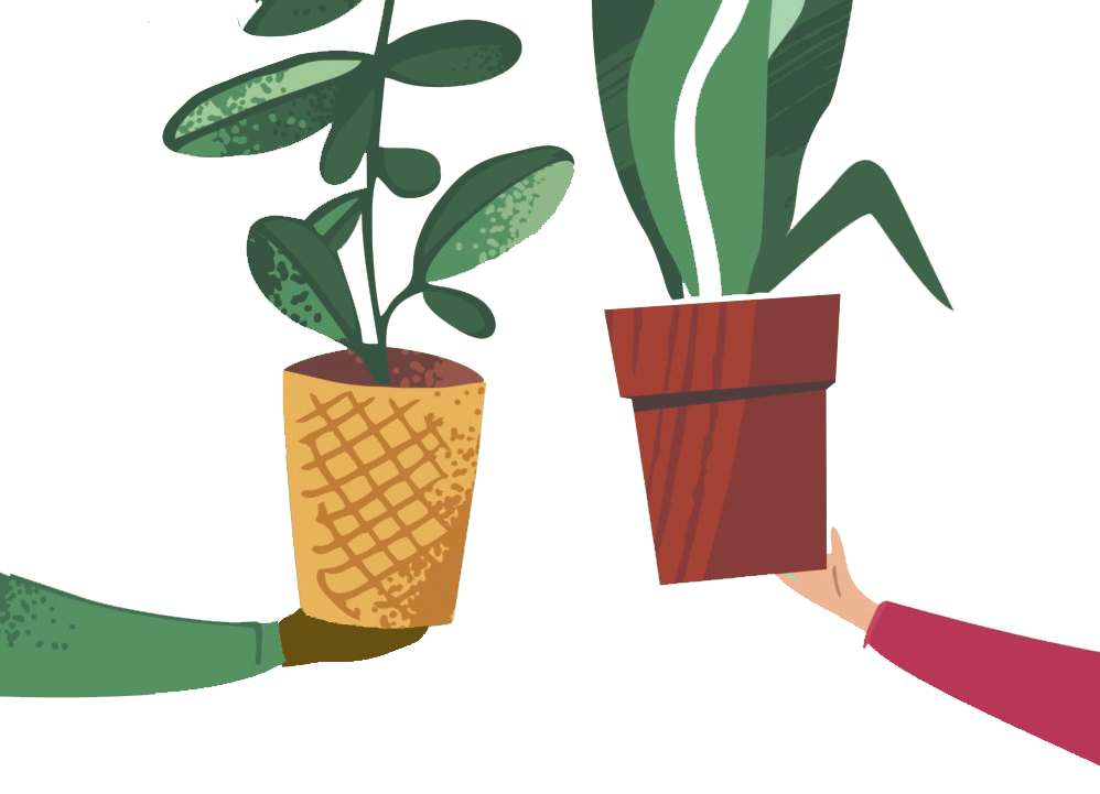 Plant Exchange Graphic