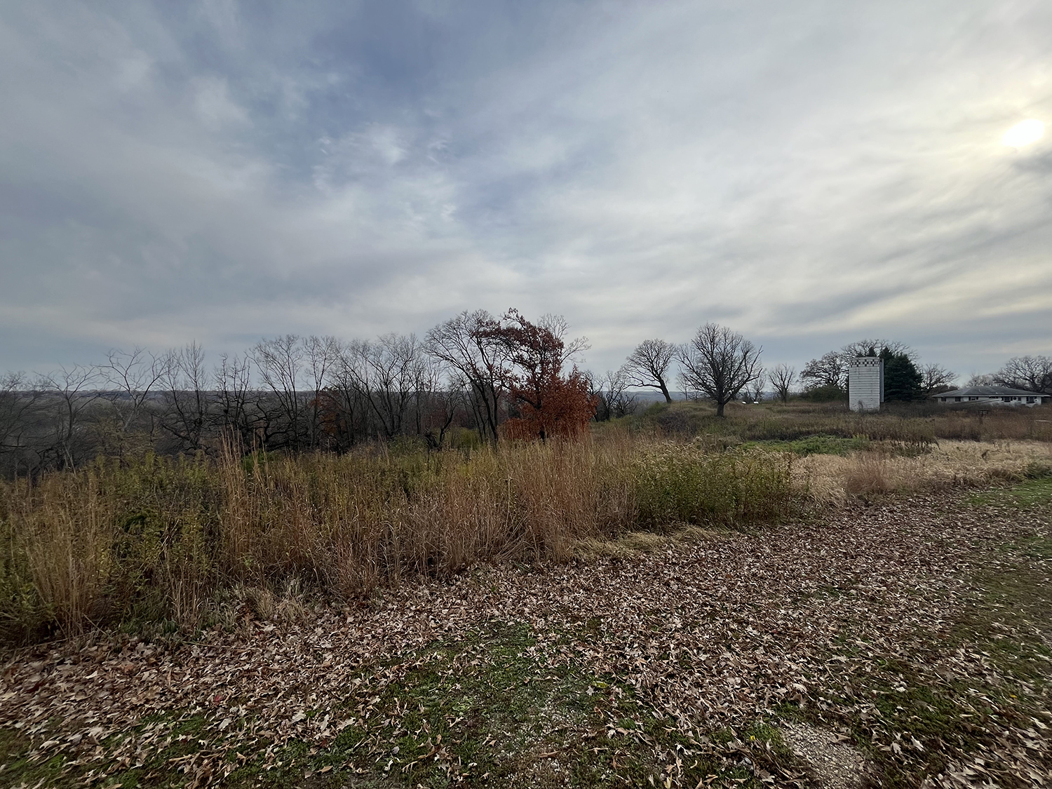 Prairie overlook area, just south of the house.