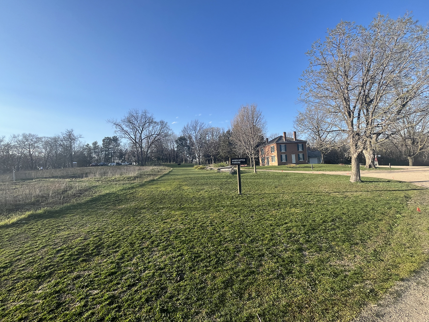 Area east of the house next to reestablished prairie.