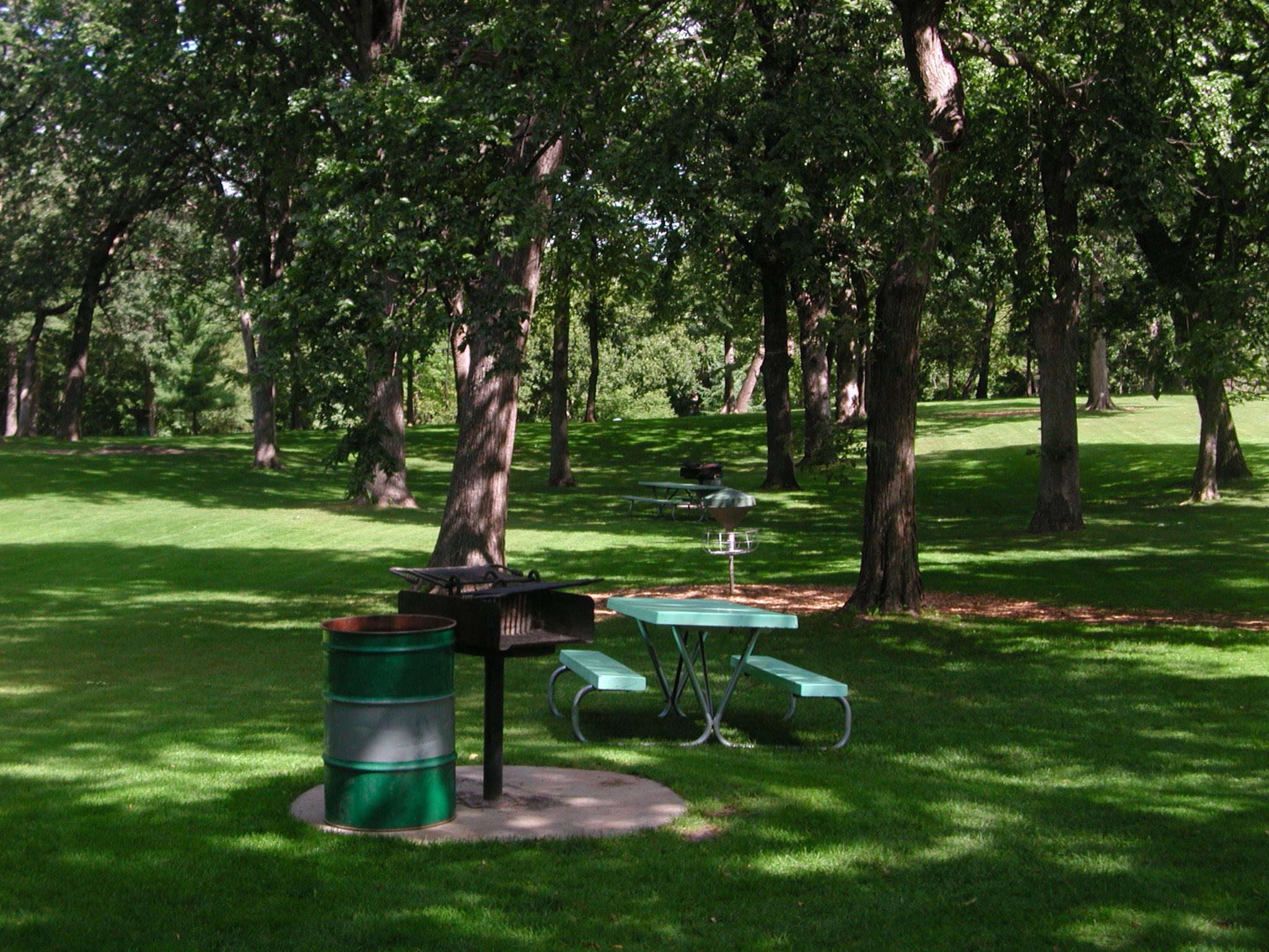 Moir Central Park Picnic Table and Trees