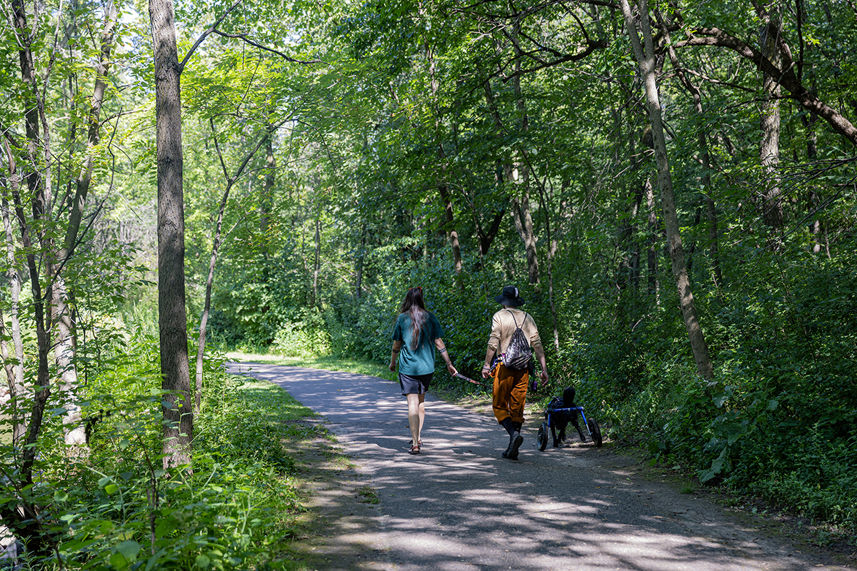 Man and woman walking dog along tree-lined path at Nine Mile Creek in Bloomington, Minnesota