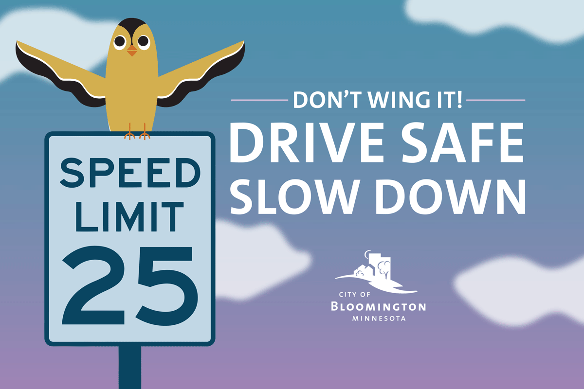 Drive safe slow down yard sign