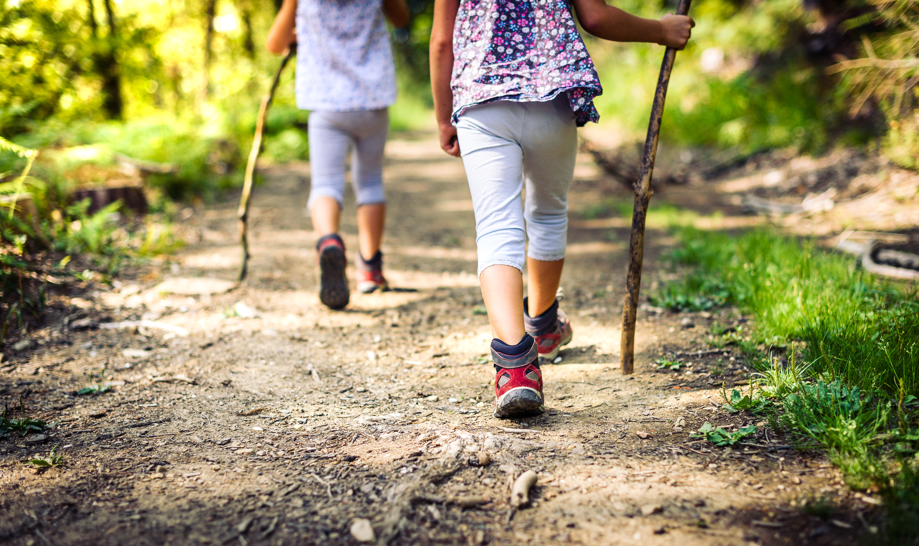 Children hiking with walking sticks along an unpaved nature path with grass and trees all around
