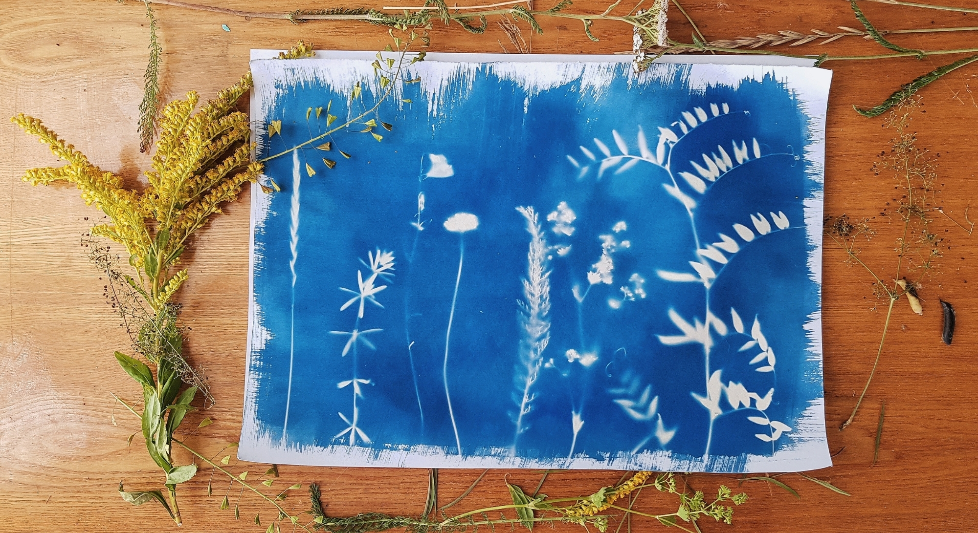 Blue faux sunprint with twigs and branches around it