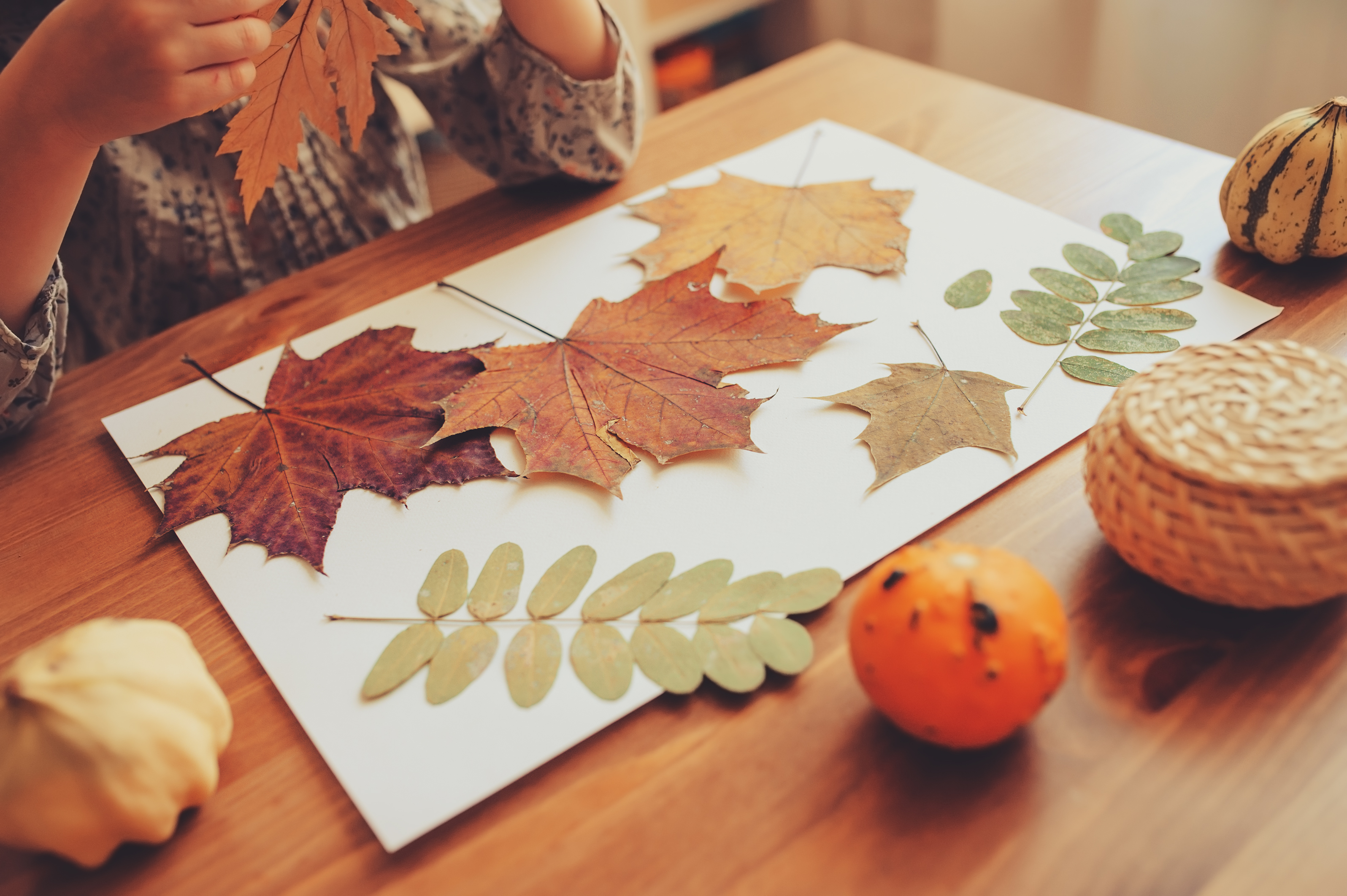 Person at a table making a fall art project out of leaves and other items