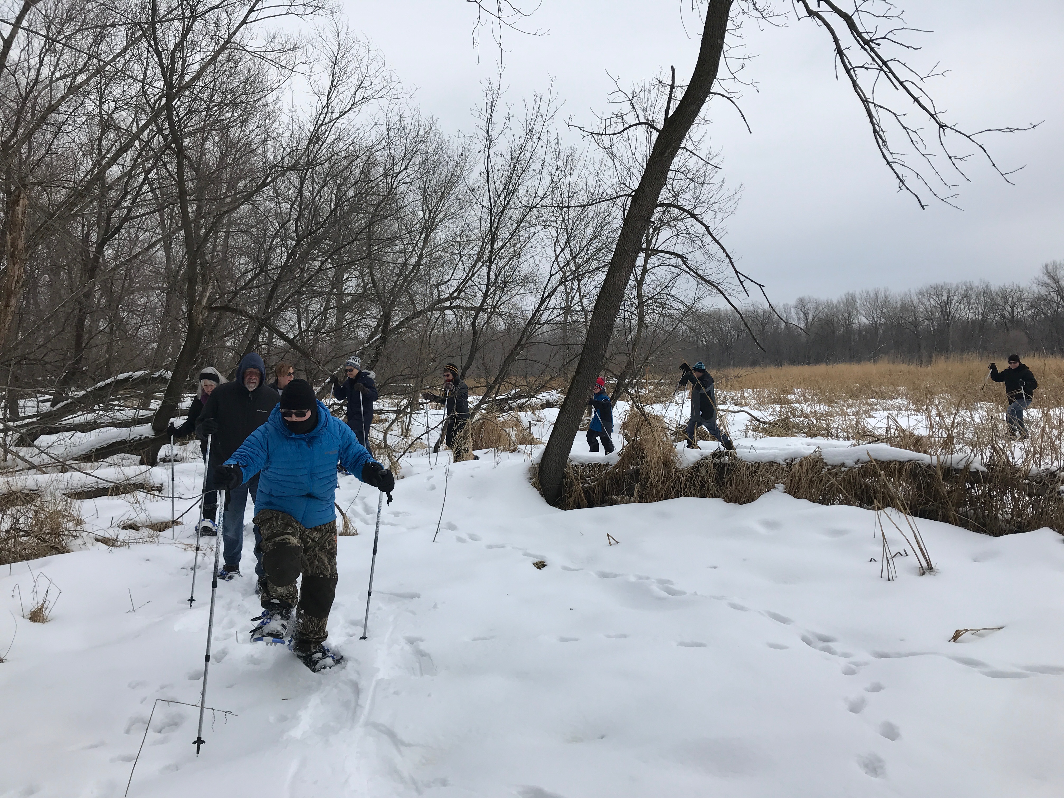 People snowshoeing among trees near an open field