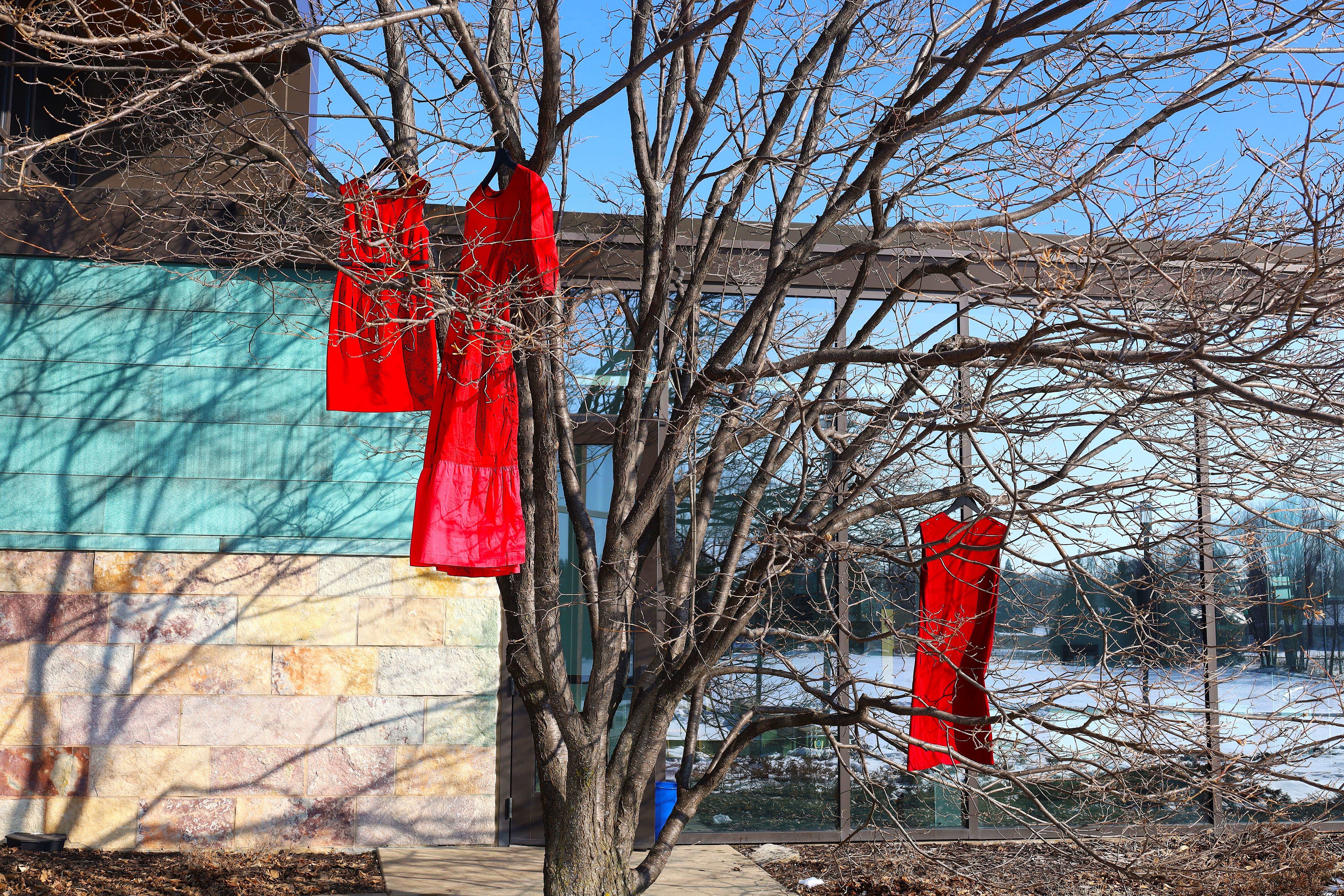 Three red dresses hanging from the branches of a leafless tree. 