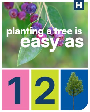 Planting a tree is as easy as 1 2 tree