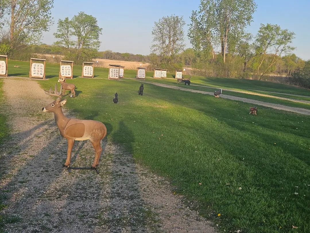 Variety of realistic 3D animal archery targets