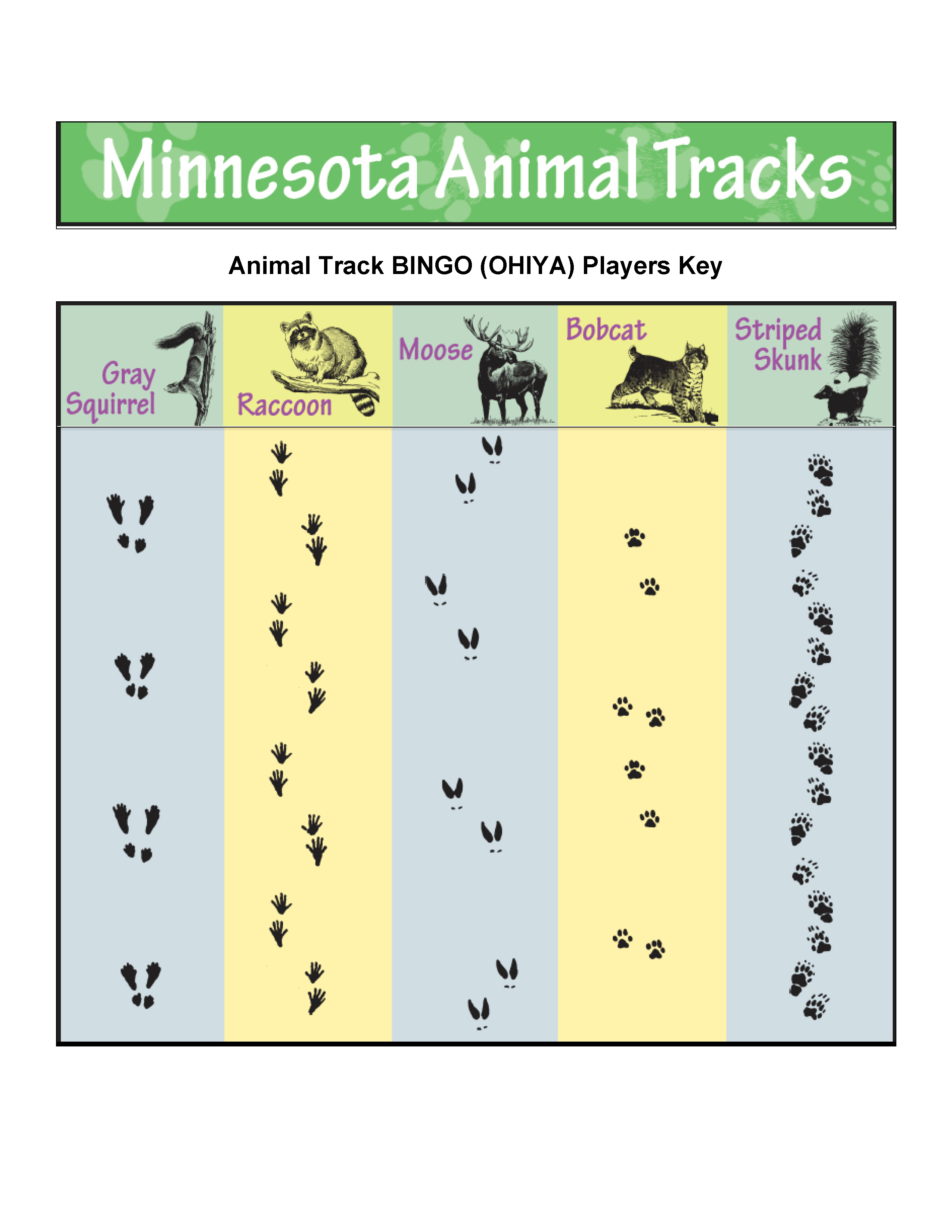 Animal Track Bingo Player Key