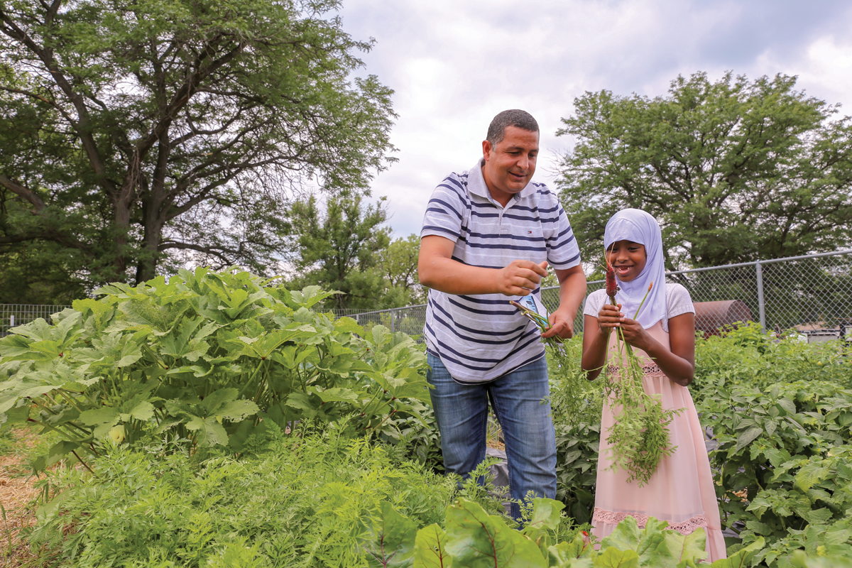 Community Gardens