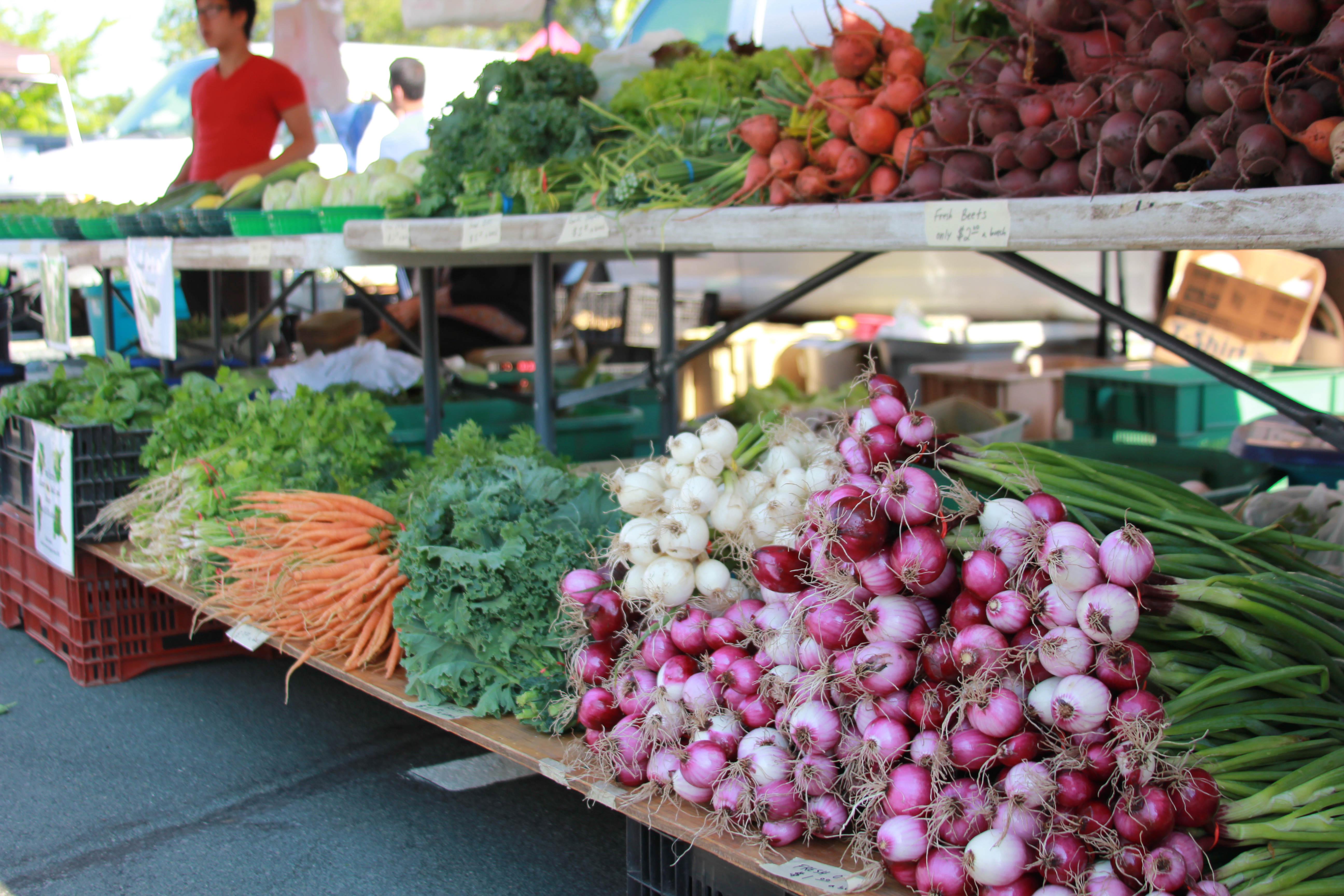 Vegetables at the Farmers Market