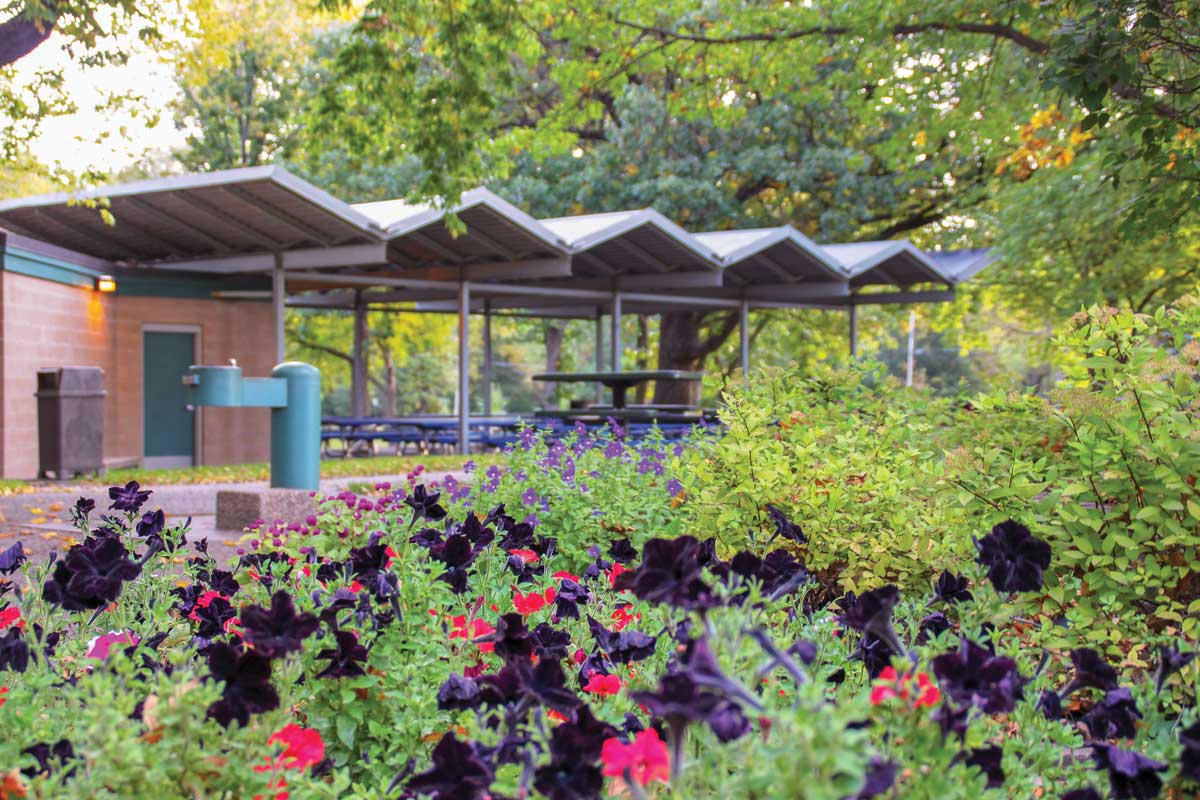 Moir Park Shelter