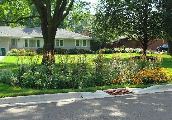 Rainwater garden