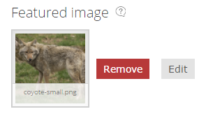 Screen grab of Featured Image selector.