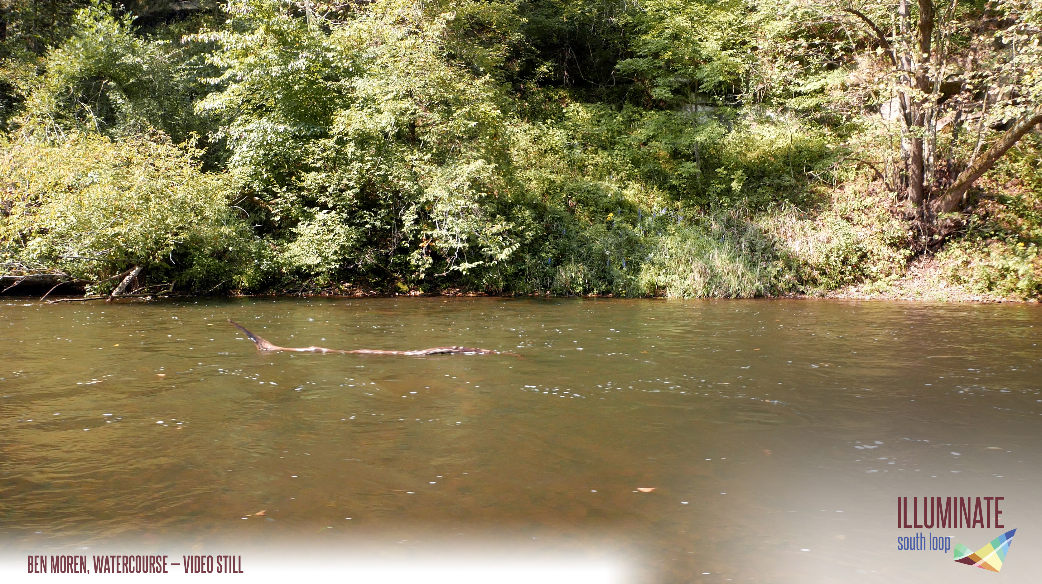 A quiet river flowing by.
