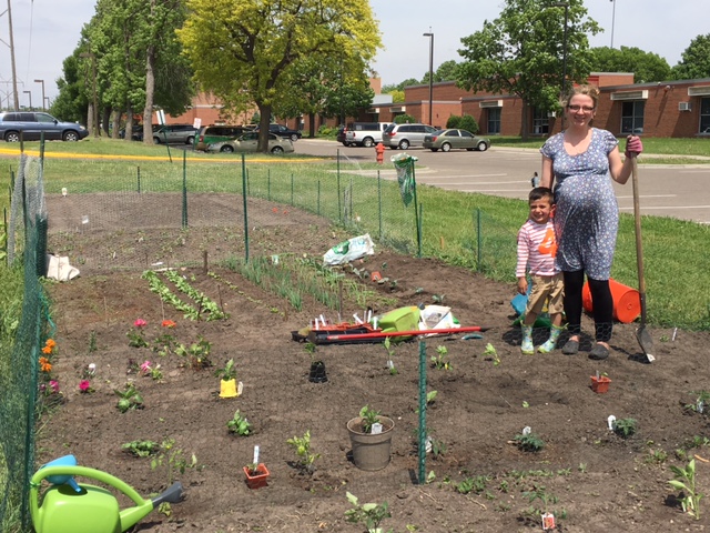 garden plot pictures