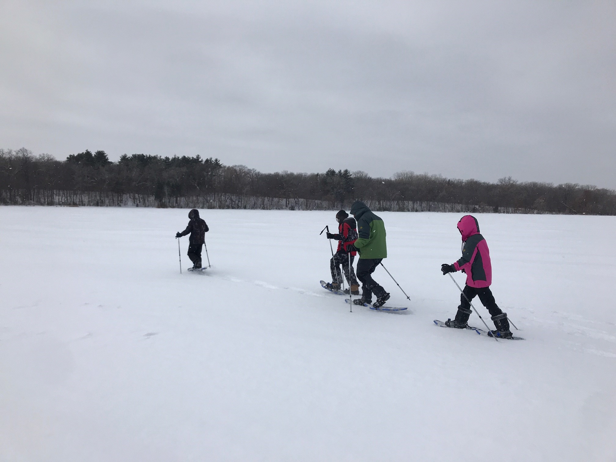 Snowshoe Excursion