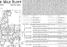 Detail from a plat map. 