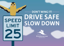 Drive safe slow down yard sign