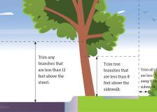 Sidewalk clearance illustration