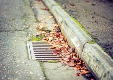 Street drain
