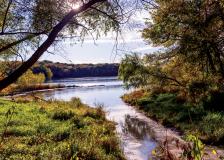 Nine Mile Creek