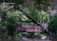 Nine Mile Creek