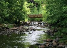 Nine Mile Creek