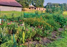 Community garden