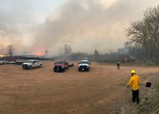 Controlled burn photo