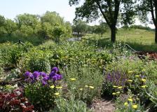 PR Banner Image May 2020