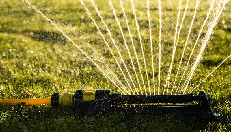 A lawn sprinkler watering grass. 