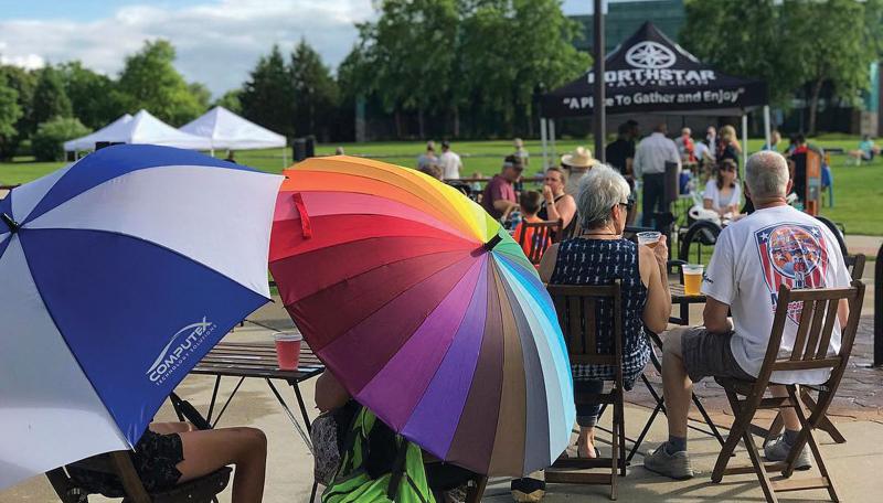 edina art fair 2021 cancelled