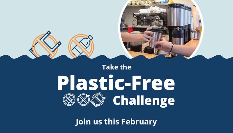 Plastic-free challenge