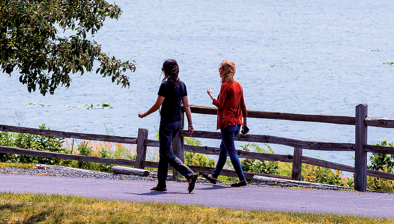 Normandale Lakes walkers
