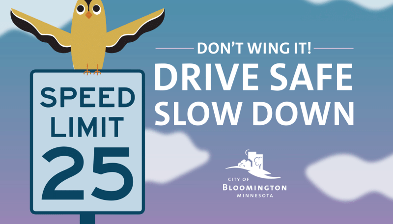 Drive safe slow down yard sign